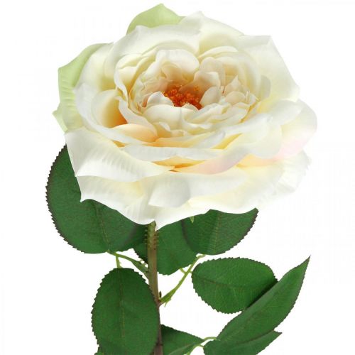 Rose Cremeweiß-Apricot, Seidenblume, Kunstrosen L72cm Ø12cm