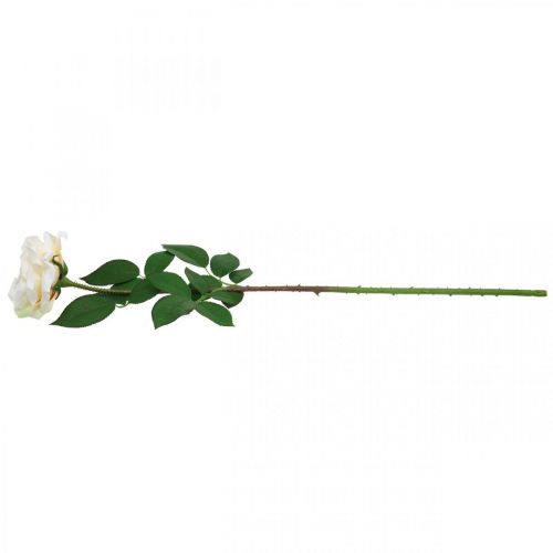 Artikel Rose Cremeweiß-Apricot, Seidenblume, Kunstrosen L72cm Ø12cm