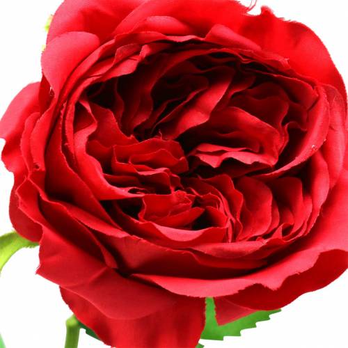 Floristik21 Rose Kunstblume Rot 72cm