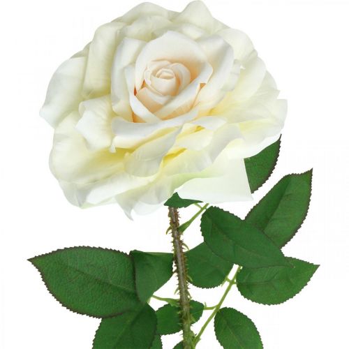 Artikel Seidenblume, Rose am Stiel, Kunstpflanze Cremeweiß, Rosa L72cm Ø13cm