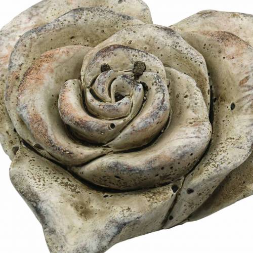 Floristik21 Beton-Rosen-Herz Grau, Apricot Ø13 H5cm 3 St