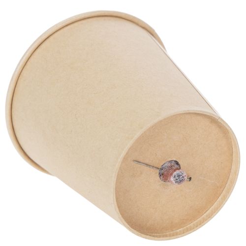 Artikel Lang haltbare konservierte Rosenköpfe im 6er-Set für stilvolle Dekorationen