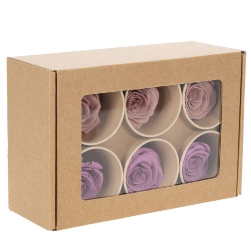 Artikel Lang haltbare konservierte Rosenköpfe im 6er-Set für stilvolle Dekorationen