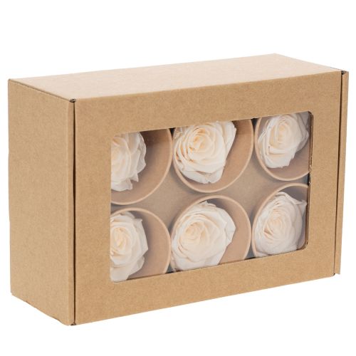 Artikel Konservierte Rosenköpfe Creme 5cm 6 Stück für langlebige Dekorationen und florale Kreationen