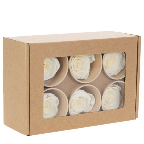 Artikel Konservierte Rosenköpfe Weiß 5cm 6er-Set Elegante Dekoration für Hochzeit und Events