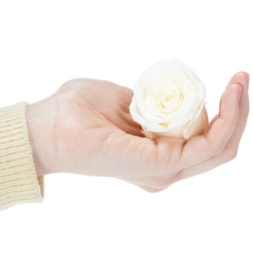 Artikel Konservierte Rosenköpfe Weiß 5cm 6er-Set Elegante Dekoration für Hochzeit und Events