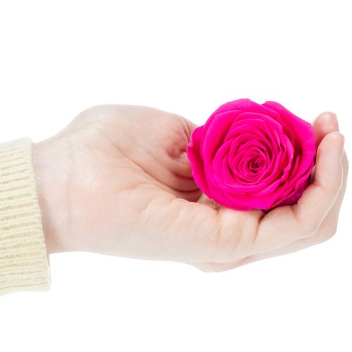 Artikel Konservierte Rosenköpfe Rosa 6er-Set – Langhaltige Blumendeko für stilvolle Arrangements