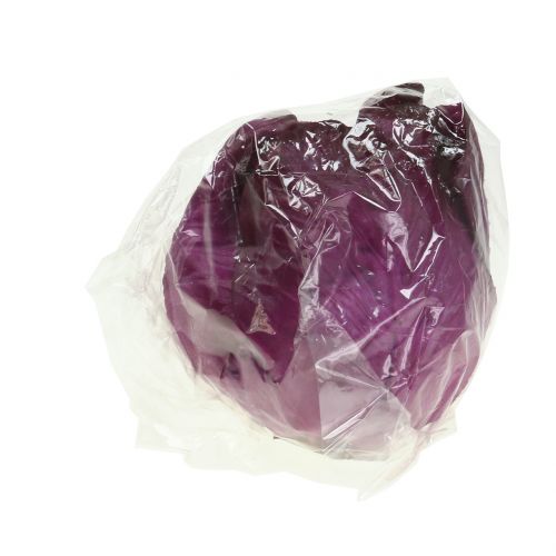 Rotkohl künstlich Real-Touch