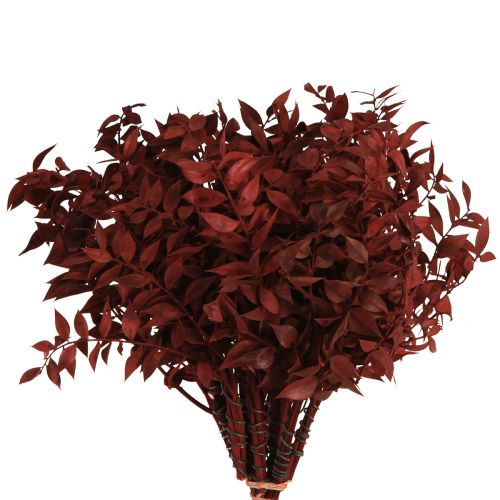Floristik21 Deko Ruscus Zweige getrocknet Rot 20cm am Draht