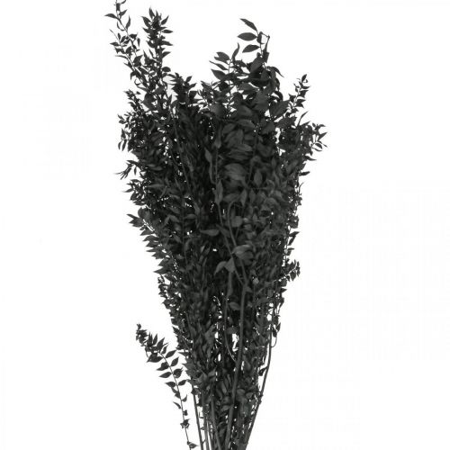 Ruscus Zweige Dekozweige Trockenblumen Schwarz 200g