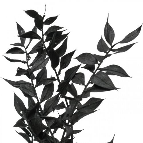 Floristik21 Ruscus Zweige Dekozweige Trockenblumen Schwarz 200g