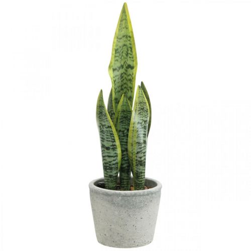 Künstlicher Bogenhanf, Grünpflanze im Topf, Sansevieria H39cm Ø12cm