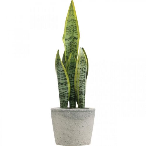 Künstlicher Bogenhanf, Grünpflanze im Topf, Sansevieria H39cm Ø12cm | Floristik21.de