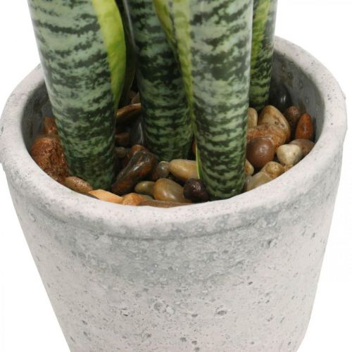 Künstlicher Bogenhanf, Grünpflanze im Topf, Sansevieria H39cm Ø12cm | Floristik21.de