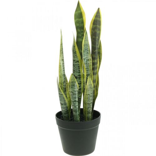 Floristik21 Sansevieria, Kunstblume, Bogenhanf im Topf H50cm Ø14cm