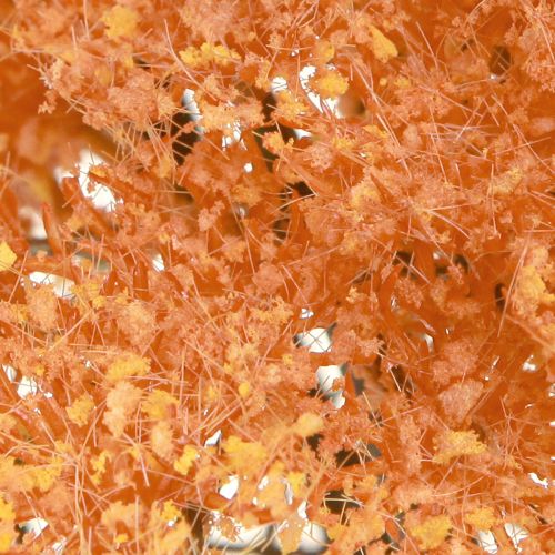 Artikel Schafgarbe Kunstblume Orange 30cm - Perfekte Deko für Herbst & Hochzeit