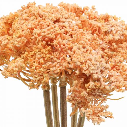 Schafgarbe Künstlich Kunstblumen Orange 50cm 5St im Bund