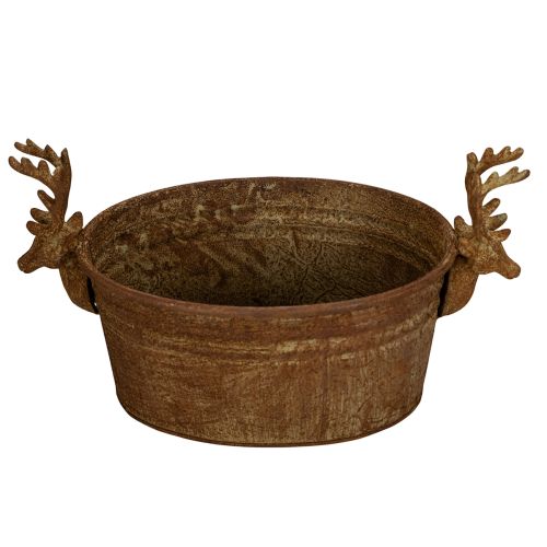 Dekoschale Metall 41 cm Rostoptik oval mit Rentierkopf | Floristik21.de