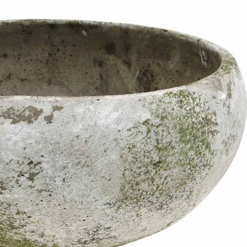Floristik21 Blumenschale Antik Patina Vintage Look Beton Ø26,5cm H12cm
