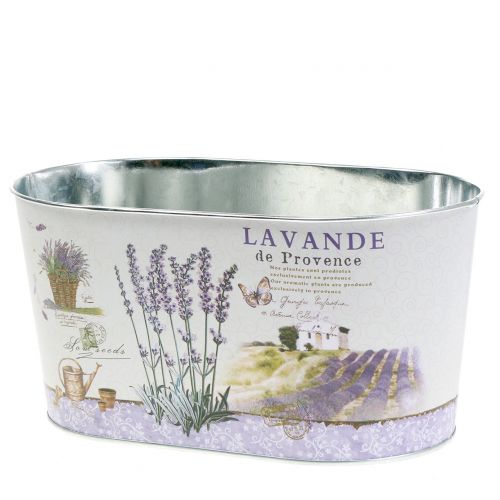 Floristik21 Pflanzschale Lavendel oval 22,5cm x 13,5cm H11cm