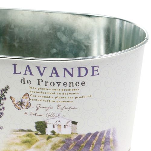 Floristik21 Pflanzschale Lavendel oval 22,5cm x 13,5cm H11cm