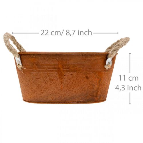 Metallschale mit Henkeln, Herbstdeko, Pflanzgefäß mit Edelrost L22cm H11cm