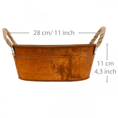 Pflanztopf mit Henkeln, Kräuterschale, Herbstdeko, Edelrost L28cm H11cm