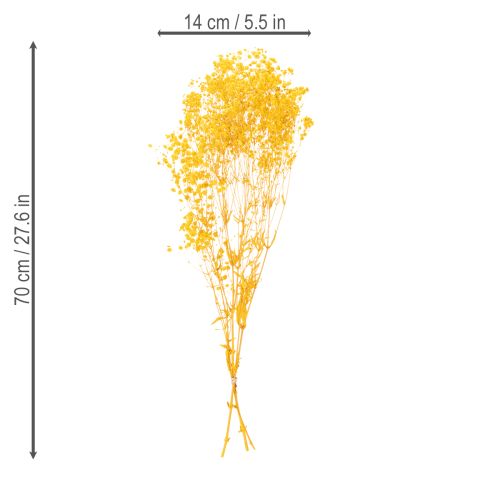 Artikel Trockenblumen Schleierkraut Strauß 70cm Tischdekoration Innenbereich