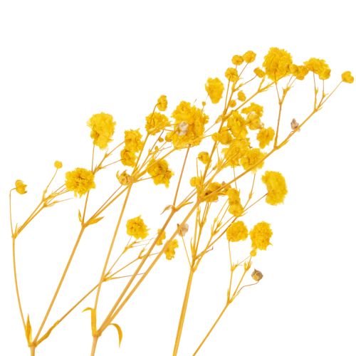 Artikel Trockenblumen Schleierkraut Strauß 70cm Tischdekoration Innenbereich