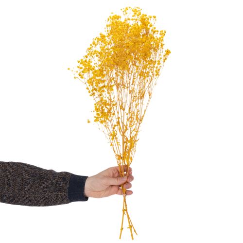 Artikel Trockenblumen Schleierkraut Strauß 70cm Tischdekoration Innenbereich