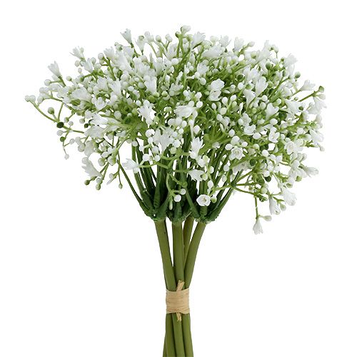 Schleierkraut 28cm Weiß 6 St | Floristik21.de
