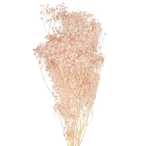 Floristik21 Schleierkraut Deko Orange Trockengräser Peach 65-70cm 100g - Natürliche Eleganz für Floristen