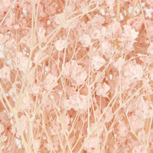 Artikel Schleierkraut Deko Orange Trockengräser Peach 65-70cm 100g - Natürliche Eleganz für Floristen