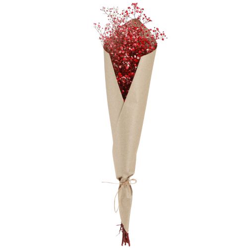 Artikel Gypsophila Trockenblumen Rot 50cm 55g für festliche Deko und Events