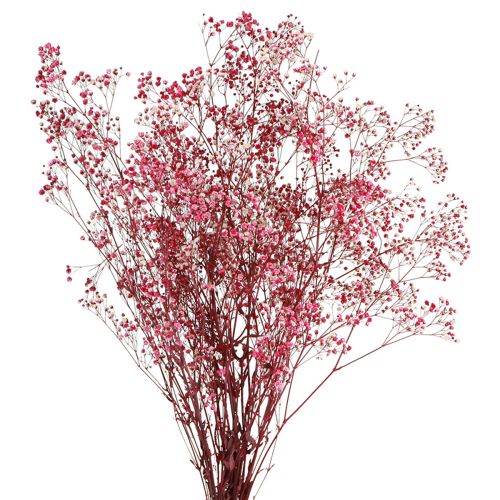 Floristik21 Schleierkraut Gipskraut Berry L50cm 55g - Zauberhafte Deko-Blumen