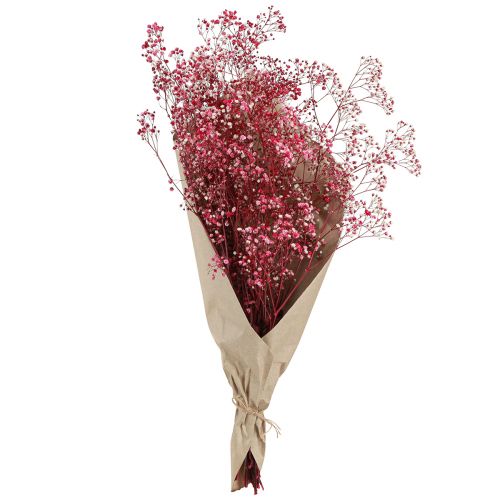Artikel Schleierkraut Gipskraut Berry L50cm 55g - Zauberhafte Deko-Blumen