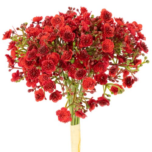 Künstliches Schleierkraut Bouquet Rot 30cm 10 Stück