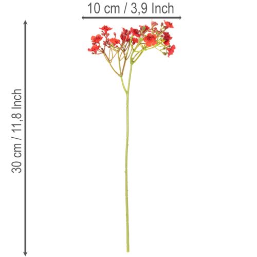Künstliches Schleierkraut Bouquet Rot 30cm 10 Stück | Floristik21.de