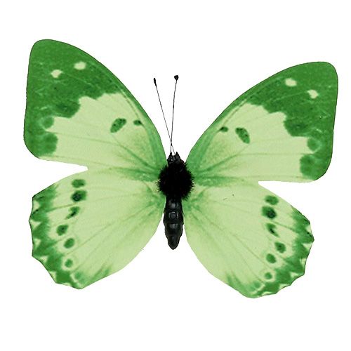 Floristik21 Schmetterling Grün am Clip 10cm - 11cm 6St