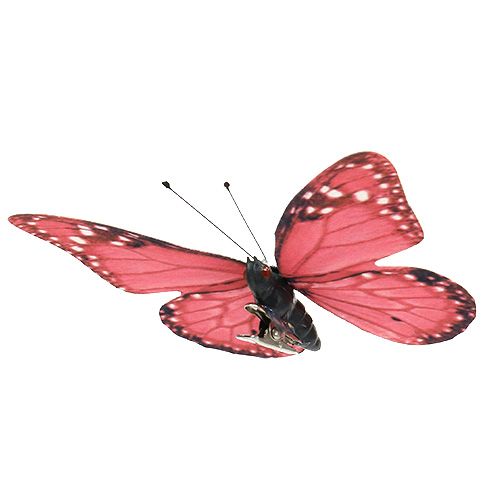 Floristik21 Schmetterling Pink am Clip 11cm 6St