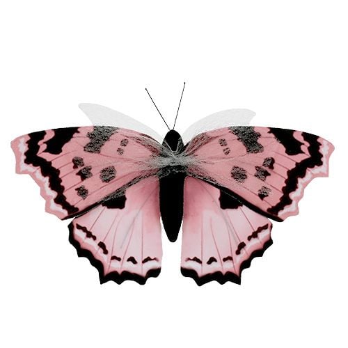Schmetterling Rosa 20cm am Draht 2St