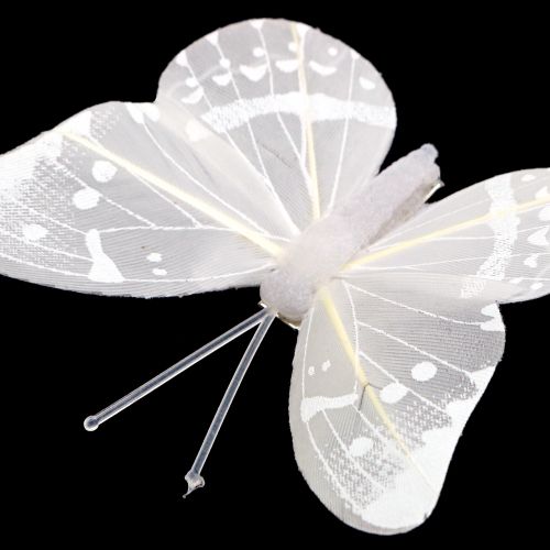 Floristik21 Schmetterling am Clip Weiß 8cm 8St
