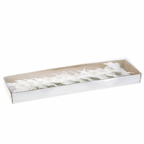 Floristik21 Federschmetterling auf Clip Weiß 10 cm 12 Stck