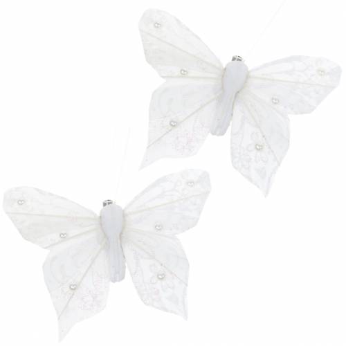 Floristik21 Federschmetterling auf Clip Weiß 10 cm 12 Stck