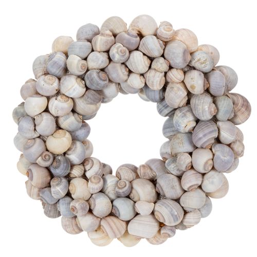 Floristik21 Schneckenkranz zum Hängen Deko Kranz Maritim Nathai Ø35cm