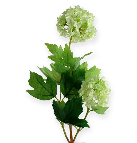 Floristik21 Schneeball, Seidenblumen Weiß 47cm