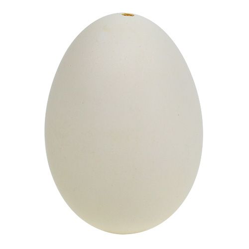 Schwaneneier 9cm Creme-Weiß 6St | Floristik21.de