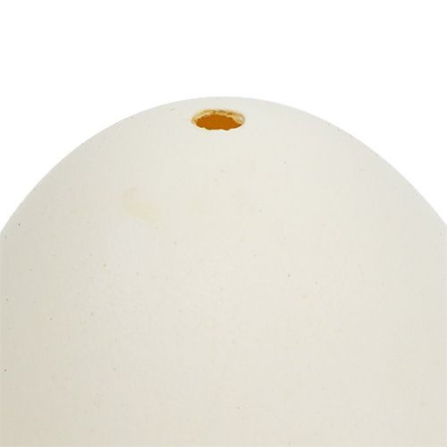 Schwaneneier 9cm Creme-Weiß 6St | Floristik21.de