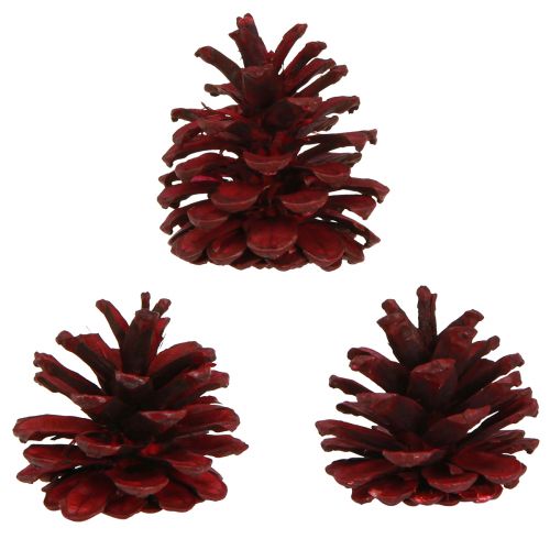 Artikel Schwarzkiefernzapfen Deko Bordeaux Rot 6-8cm Naturlook 6er-Set
