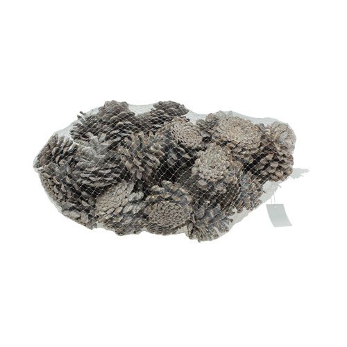 Artikel Schwarzkiefernzapfen 5-9cm weiß gewaschen 1kg